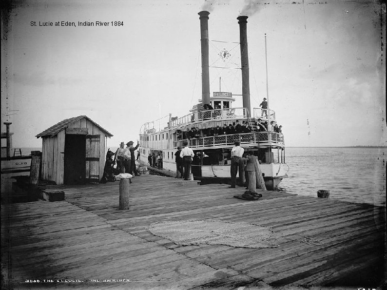 St. Lucie at Eden, Indian River 1884 