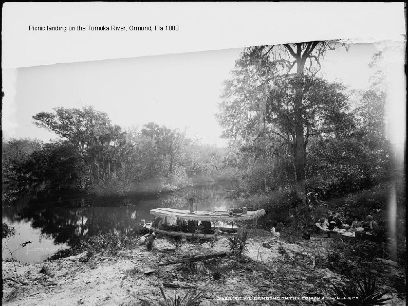 Picnic landing on the Tomoka River, Ormond, Fla 1888 