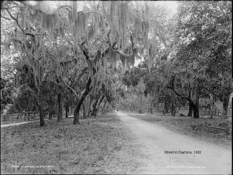 Street in Daytona, 1882 