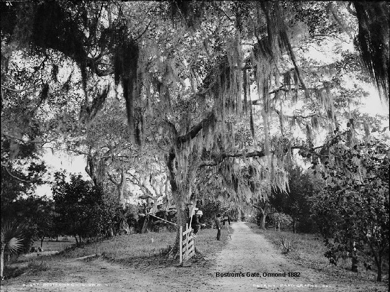 Bostrom's Gate, Ormond 1882 