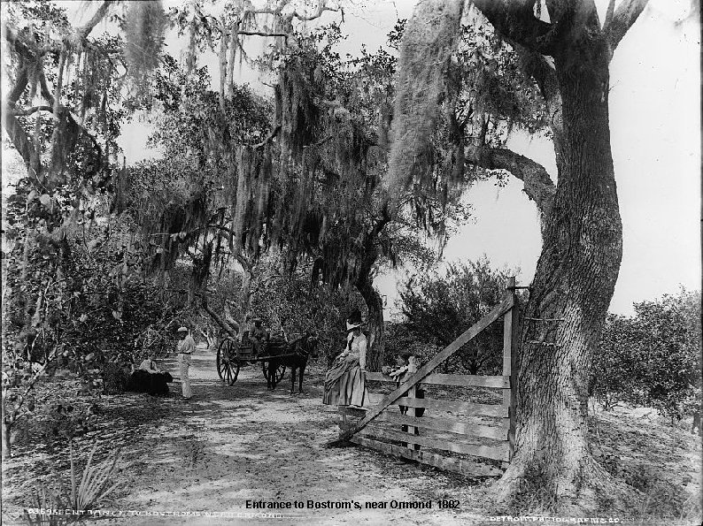 Entrance to Bostrom's, near Ormond 1882 