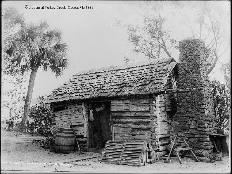 Old cabin at Turkey Creek, Cocoa, Fla 1889 