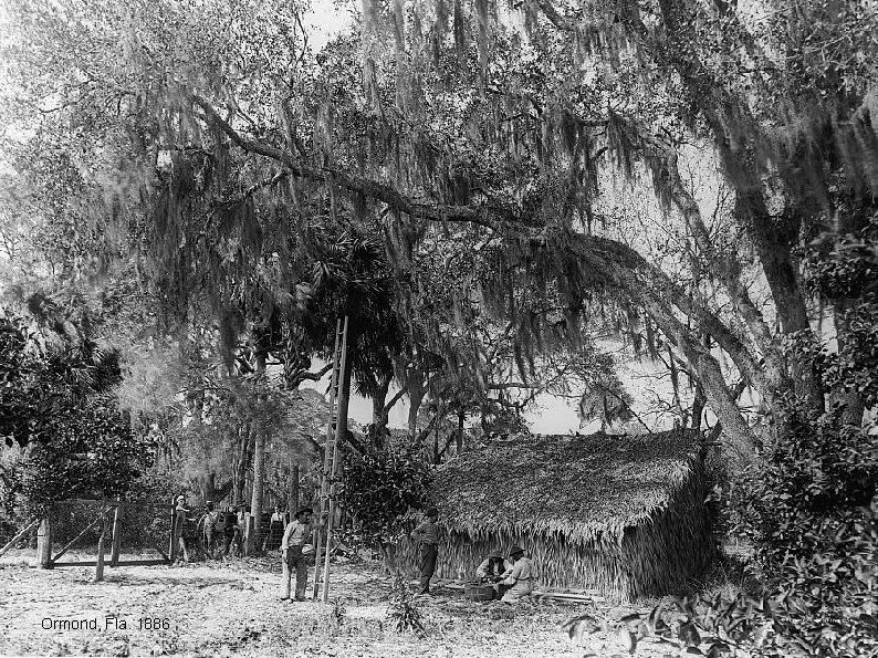 Ormond, Fla. 1886 