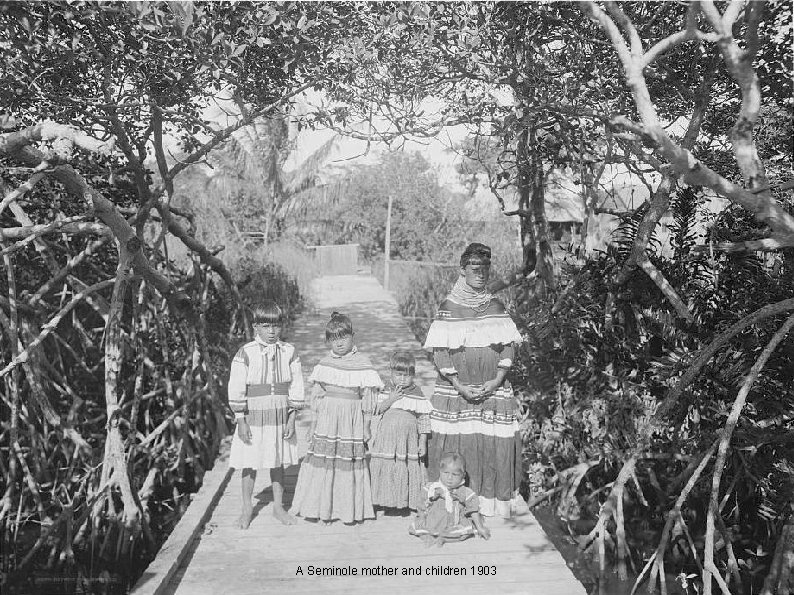 A Seminole mother and children 1903 