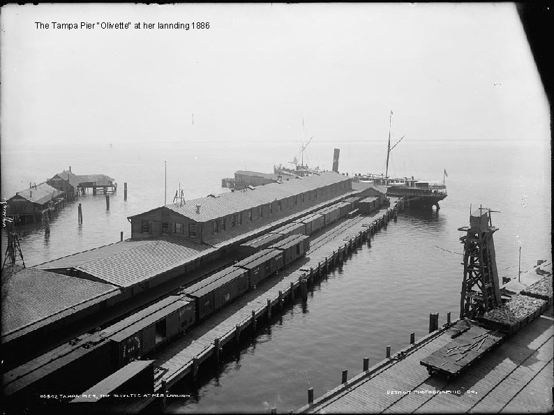 The Tampa Pier "Olivette" at her lannding 1886 