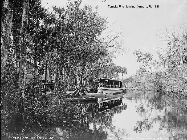 Tomoka River landing, Ormond, Fla 1898 