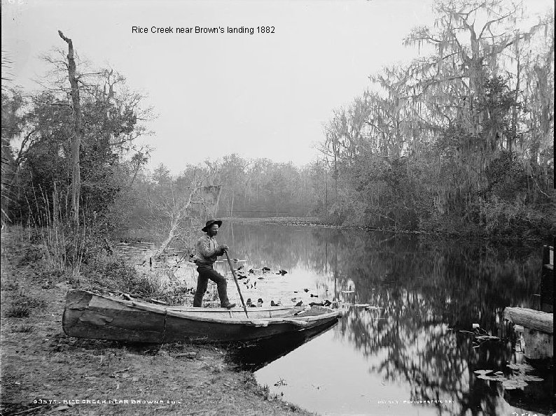 Rice Creek near Brown's landing 1882 