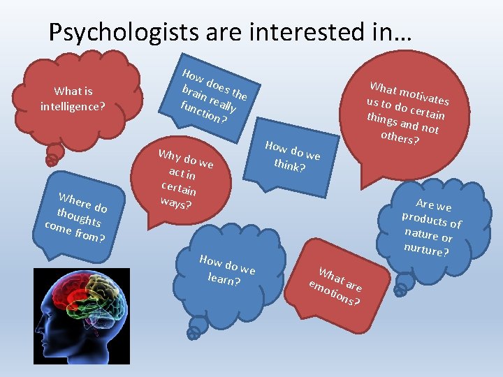 Psychologists are interested in… What is intelligence? Whe re thou do come ghts from