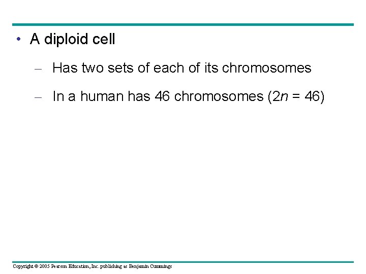  • A diploid cell – Has two sets of each of its chromosomes