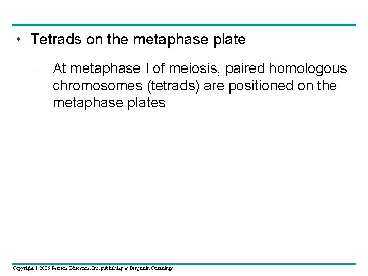 • Tetrads on the metaphase plate – At metaphase I of meiosis, paired