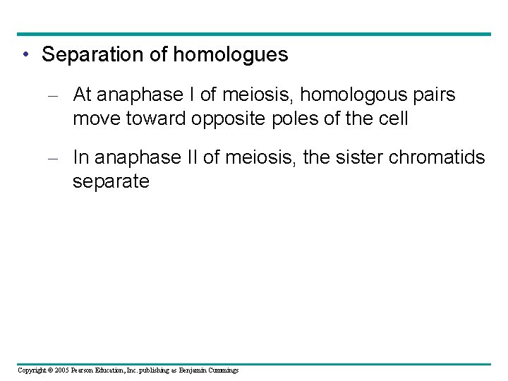  • Separation of homologues – At anaphase I of meiosis, homologous pairs move