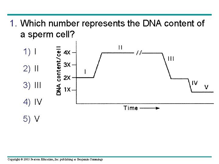 1. Which number represents the DNA content of a sperm cell? 1) I 2)