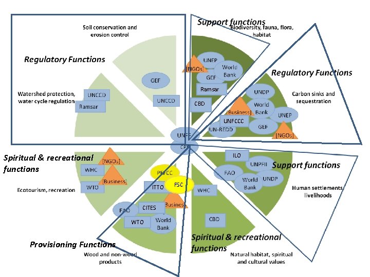 Ramsar CBD UNFCCC Spiritual & recreational functions ILO ITTO CITES WTO Provisioning Functions FSC