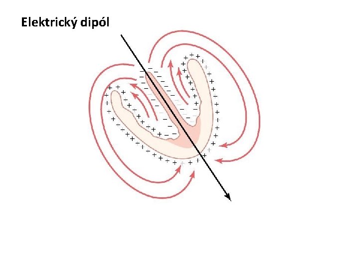 Elektrický dipól 