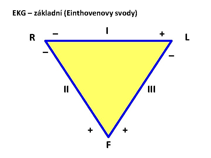 EKG – základní (Einthovenovy svody) I – R + – L – II III