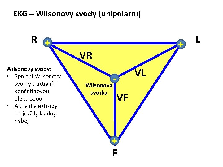 EKG – Wilsonovy svody (unipolární) R + Wilsonovy svody: • Spojeni Wilsonovy svorky s