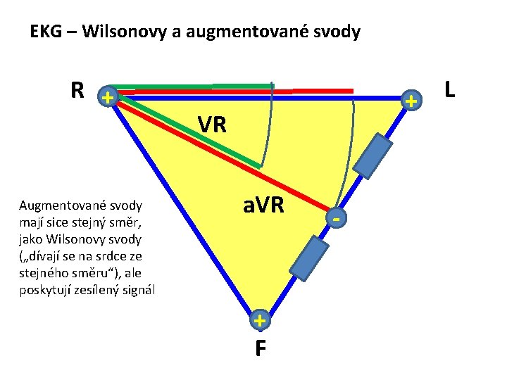 EKG – Wilsonovy a augmentované svody R + Augmentované svody mají sice stejný směr,