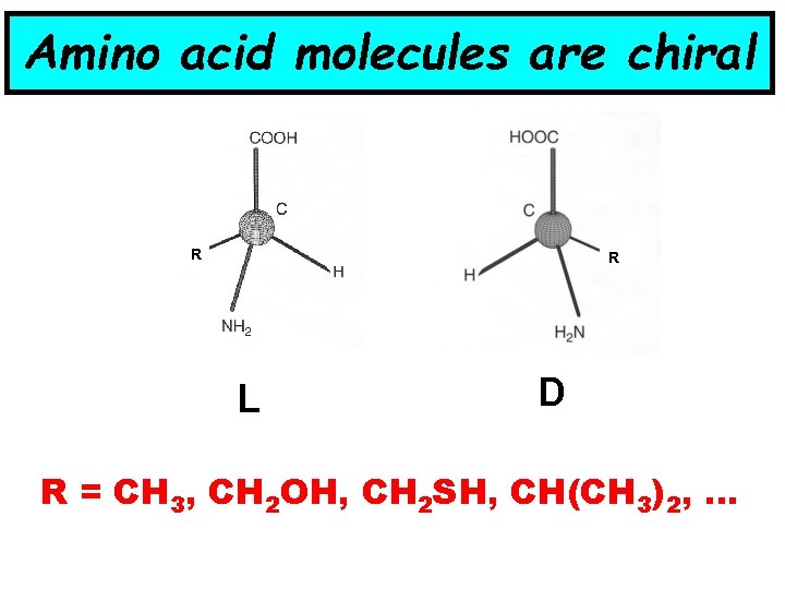 Amino acid molecules are chiral R R L D R = CH 3, CH Amino acid molecules are chiral R R L D R = CH 3, CH