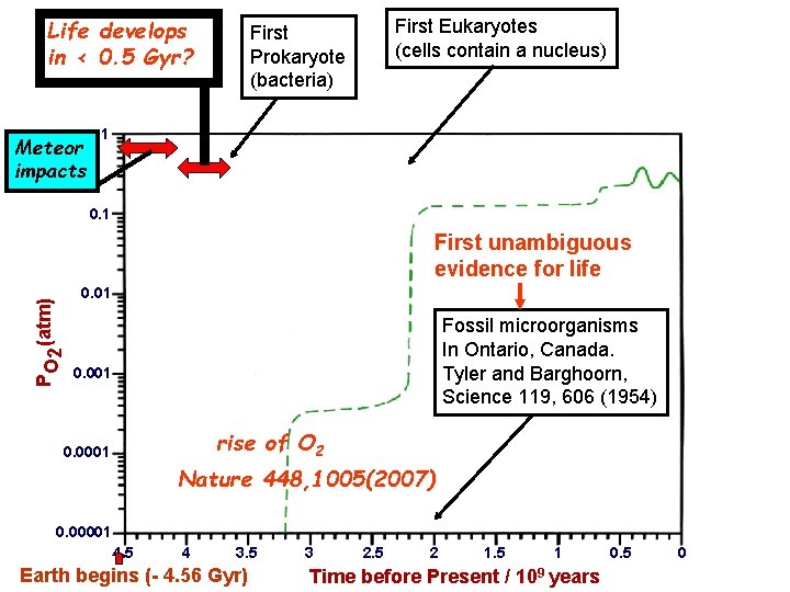 Life develops in < 0. 5 Gyr? Meteor impacts First Eukaryotes (cells contain a Life develops in < 0. 5 Gyr? Meteor impacts First Eukaryotes (cells contain a