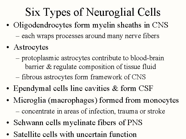 Six Types of Neuroglial Cells • Oligodendrocytes form myelin sheaths in CNS – each