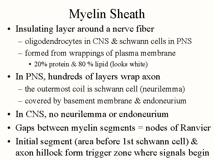 Myelin Sheath • Insulating layer around a nerve fiber – oligodendrocytes in CNS &