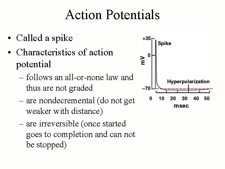 Action Potentials • Called a spike • Characteristics of action potential – follows an