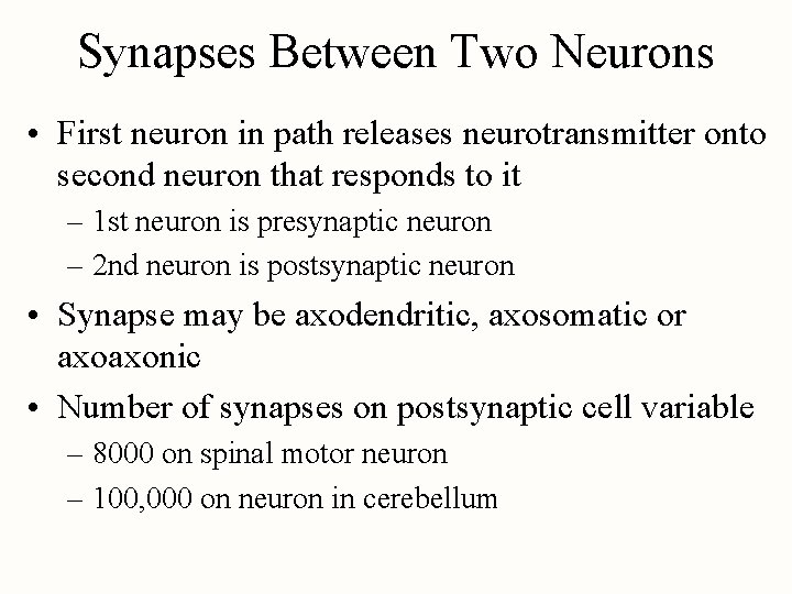 Synapses Between Two Neurons • First neuron in path releases neurotransmitter onto second neuron