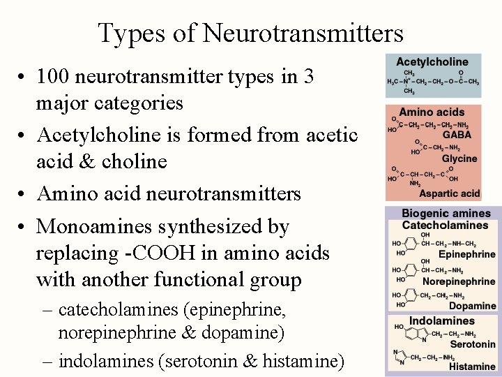 Types of Neurotransmitters • 100 neurotransmitter types in 3 major categories • Acetylcholine is