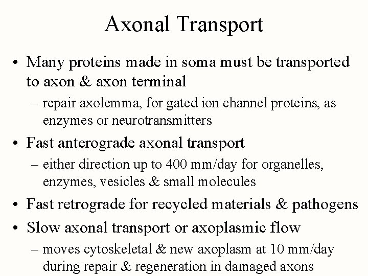 Axonal Transport • Many proteins made in soma must be transported to axon &