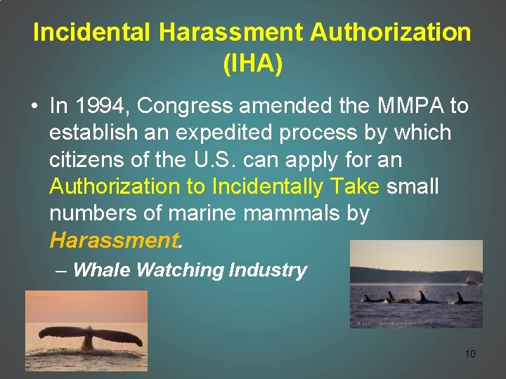 Incidental Harassment Authorization (IHA) • In 1994, Congress amended the MMPA to establish an