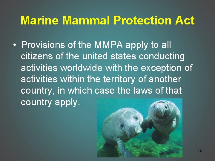 Marine Mammal Protection Act • Provisions of the MMPA apply to all citizens of