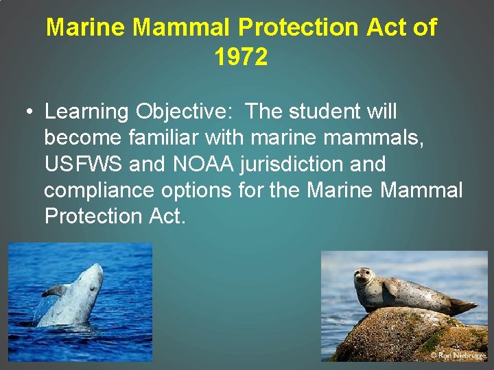 Marine Mammal Protection Act of 1972 • Learning Objective: The student will become familiar