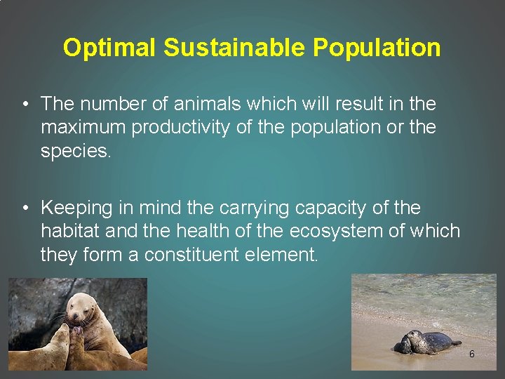 Optimal Sustainable Population • The number of animals which will result in the maximum