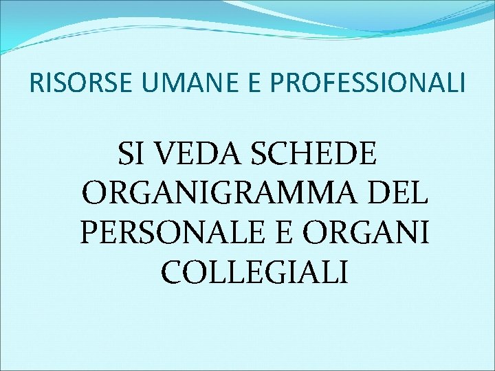 RISORSE UMANE E PROFESSIONALI SI VEDA SCHEDE ORGANIGRAMMA DEL PERSONALE E ORGANI COLLEGIALI 
