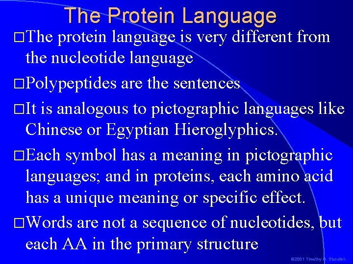 �The Protein Language protein language is very different from the nucleotide language �Polypeptides are �The Protein Language protein language is very different from the nucleotide language �Polypeptides are