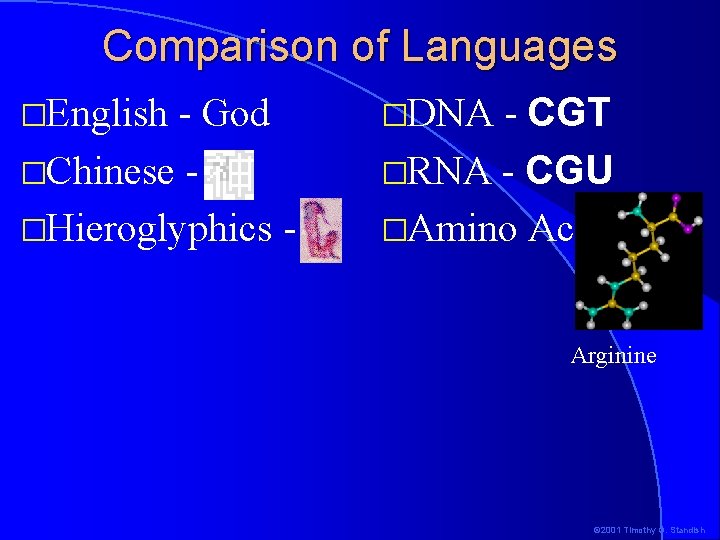 Comparison of Languages �English - God �Chinese �Hieroglyphics - - CGT �RNA - CGU Comparison of Languages �English - God �Chinese �Hieroglyphics - - CGT �RNA - CGU