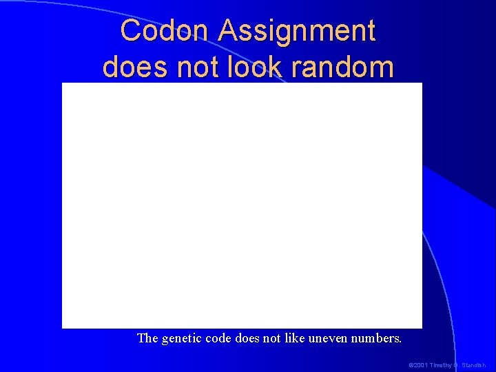 Codon Assignment does not look random The genetic code does not like uneven numbers. Codon Assignment does not look random The genetic code does not like uneven numbers.