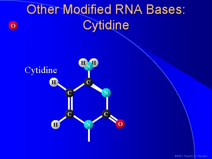 O Other Modified RNA Bases: Cytidine H H N H C C N O O Other Modified RNA Bases: Cytidine H H N H C C N O