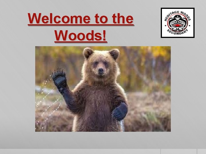 Welcome to the Woods! 
