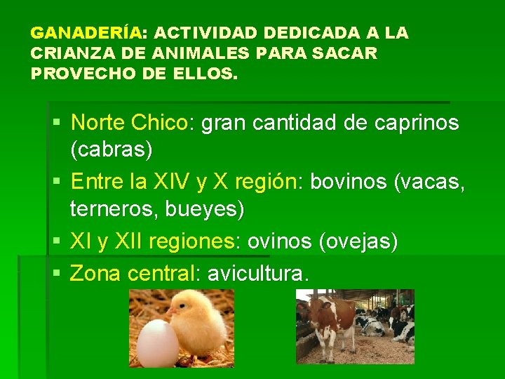 GANADERÍA: ACTIVIDAD DEDICADA A LA CRIANZA DE ANIMALES PARA SACAR PROVECHO DE ELLOS. §