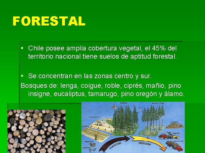 FORESTAL § Chile posee amplia cobertura vegetal, el 45% del territorio nacional tiene suelos