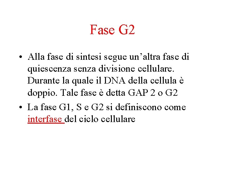 Fase G 2 • Alla fase di sintesi segue un’altra fase di quiescenza senza