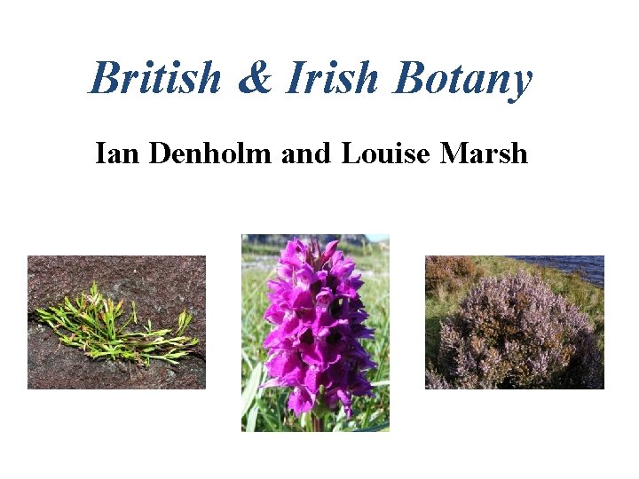 British & Irish Botany Ian Denholm and Louise Marsh 