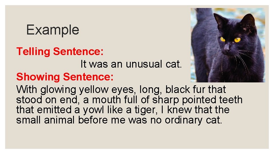 Example Telling Sentence: It was an unusual cat. Showing Sentence: With glowing yellow eyes,