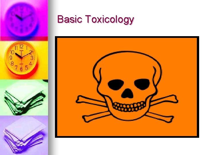 Basic Toxicology 