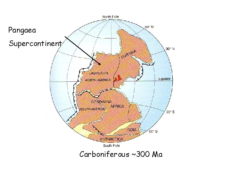 Pangaea Supercontinent Pre-Cambrian 850 Ma Carboniferous~~300 Ma 