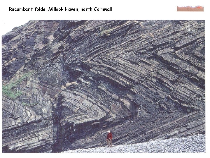 Recumbent folds, Millook Haven, north Cornwall 