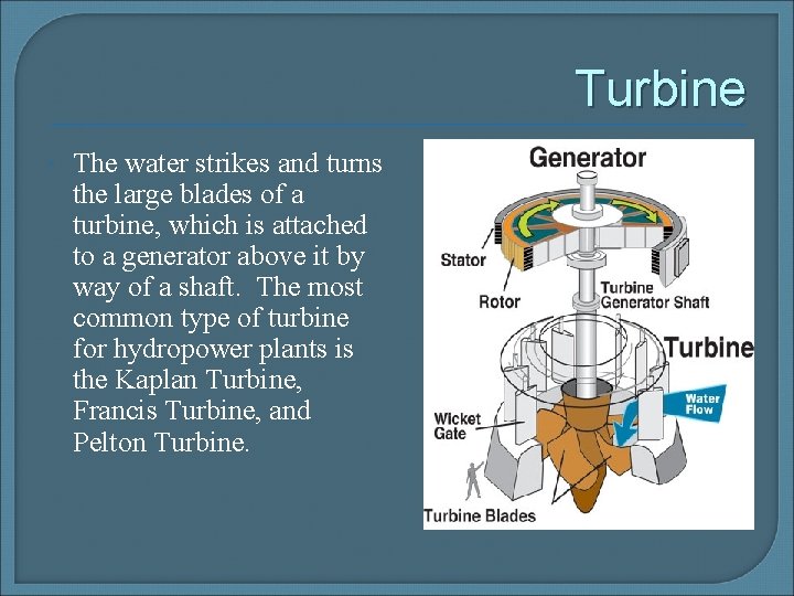 Turbine The water strikes and turns the large blades of a turbine, which is