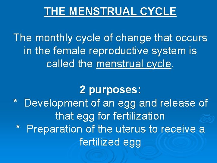 THE MENSTRUAL CYCLE The monthly cycle of change that occurs in the female reproductive
