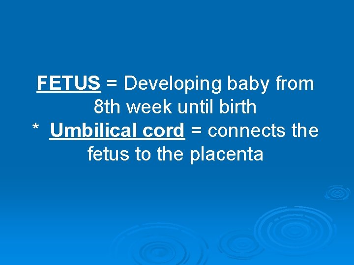 FETUS = Developing baby from 8 th week until birth * Umbilical cord =